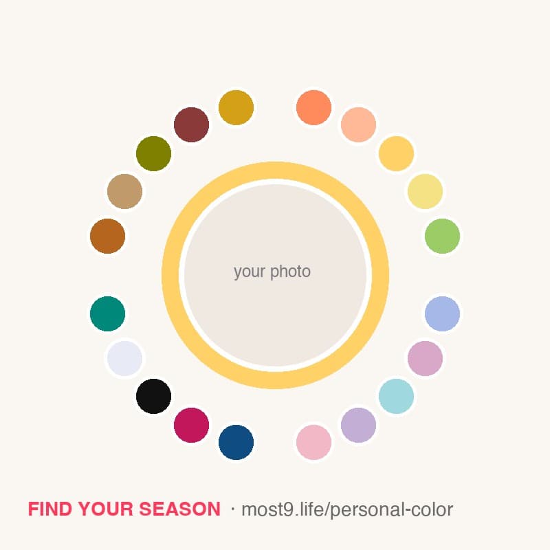 A color wheel of season chips surrounding a central photo placeholder